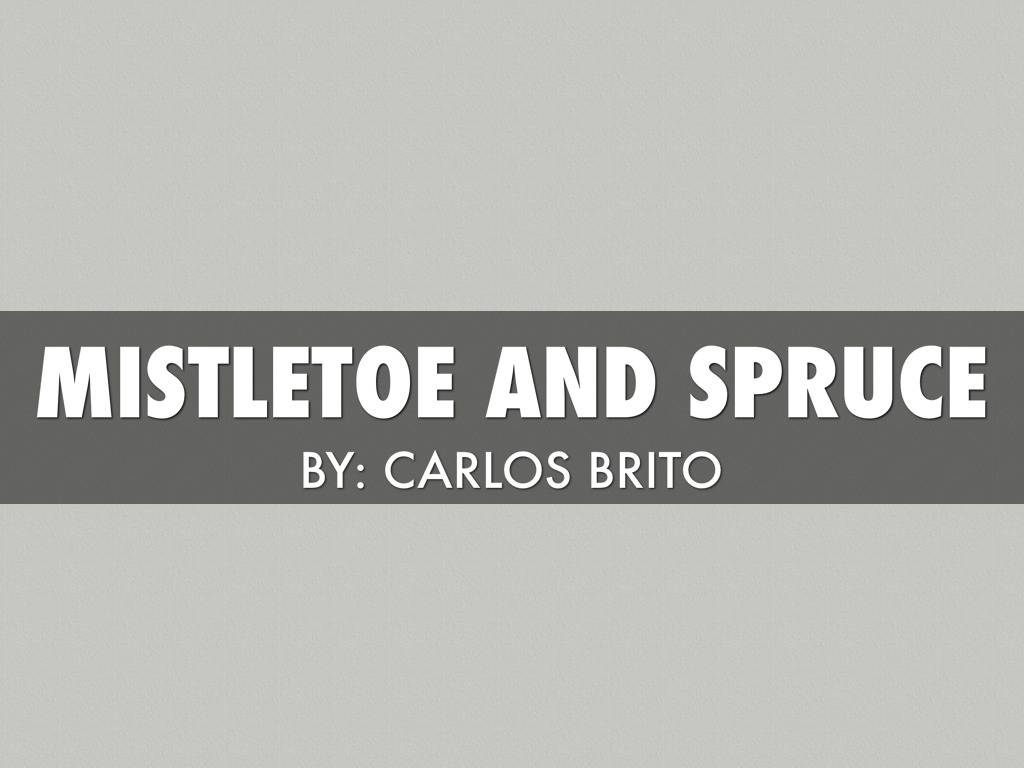 Mistletoe And Spruce