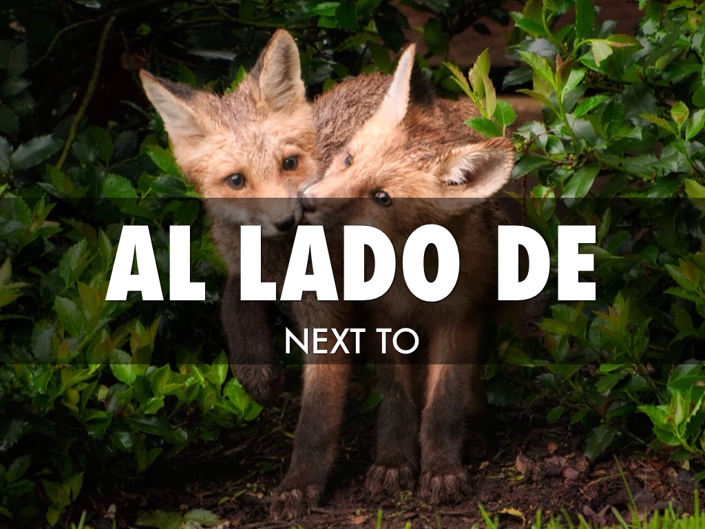 Location Preposition 