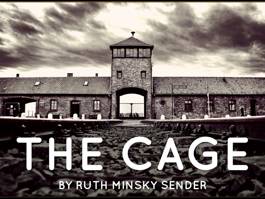 The Cage Presentation By Thomas Wenger