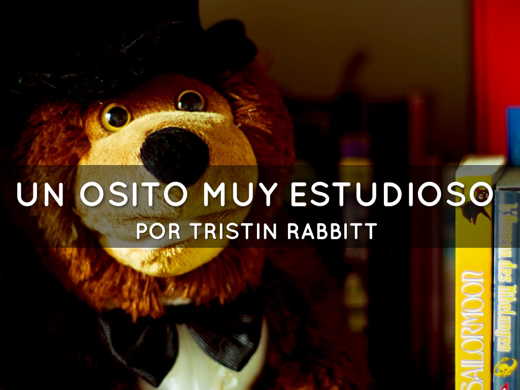 Un Osito De Peluche Muy Estudioso