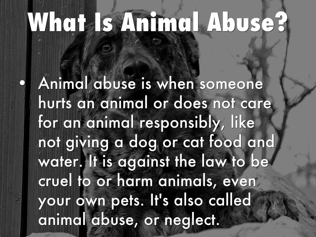 What Is Considered Animal Cruelty