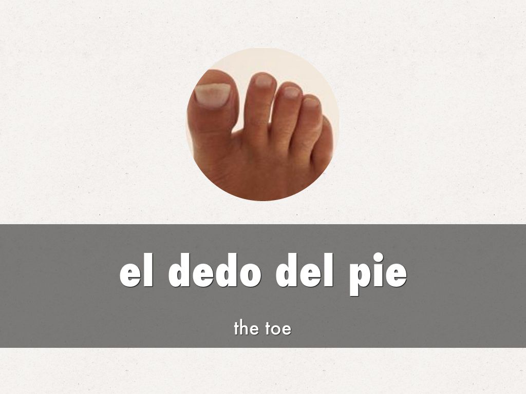 Pie Falseado En Ingles at Stella Conrad blog