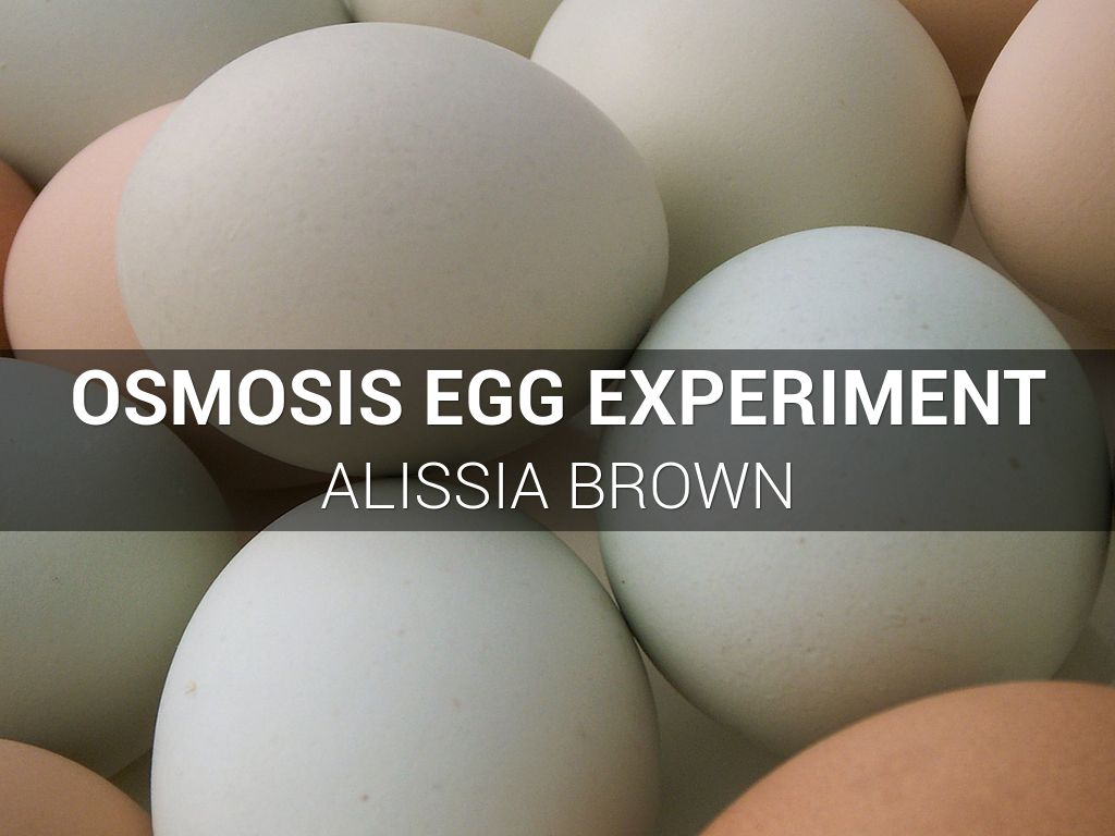 Osmosis Egg Experiment 