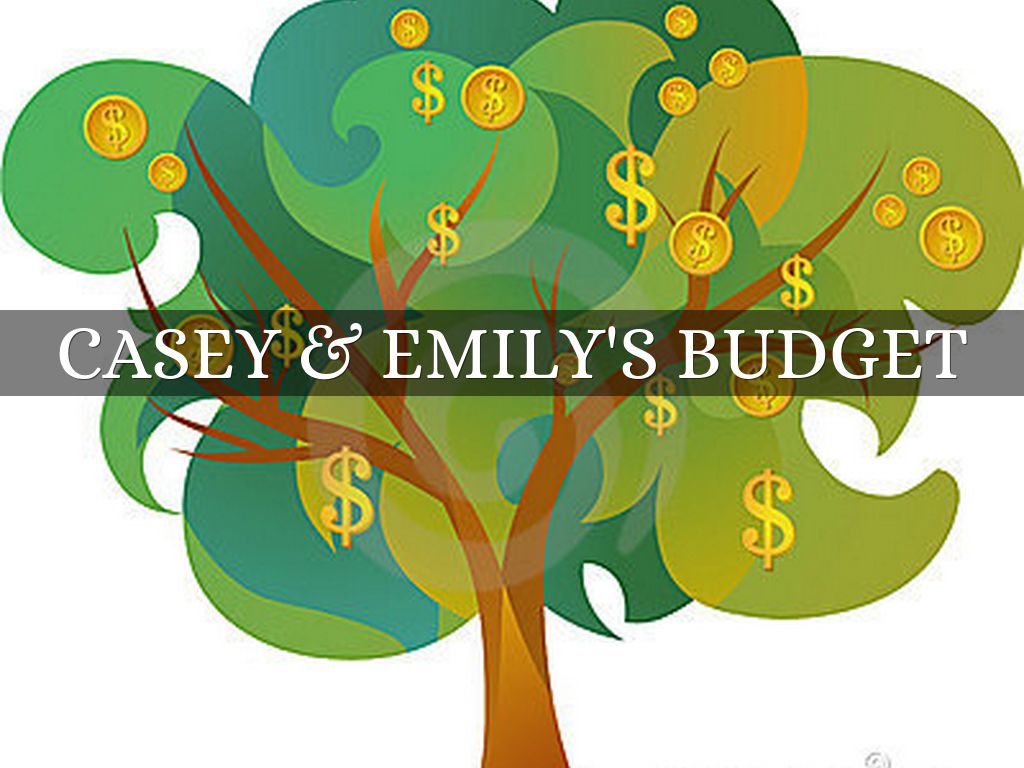 Casey Emily s Budget By Caseyave