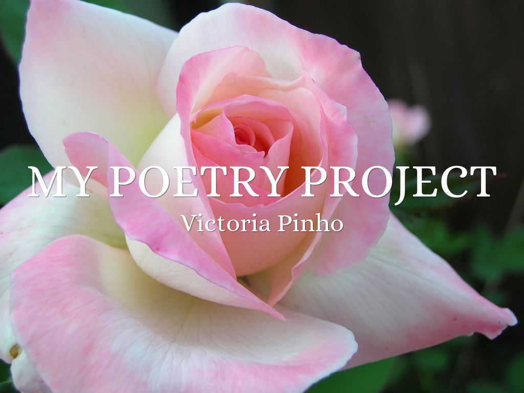 My poetry project