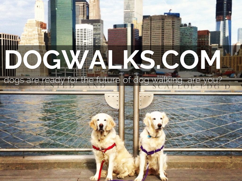 DogWalks