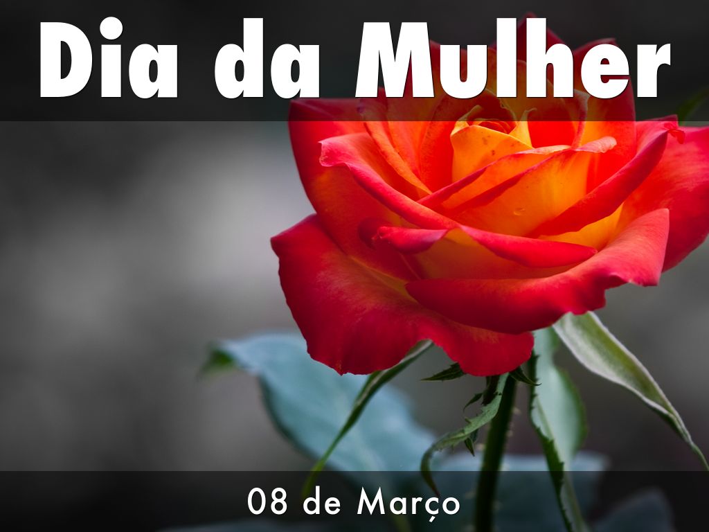 Dia da Mulher