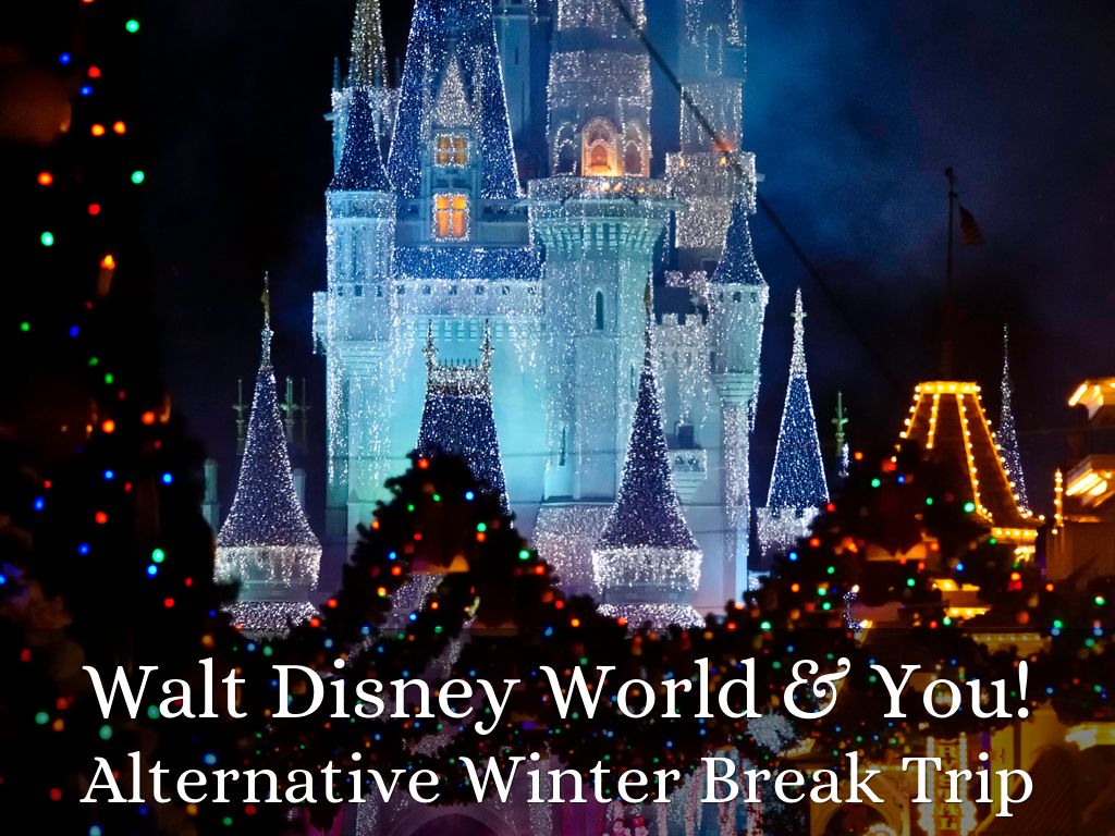 Walt Disney World & You!