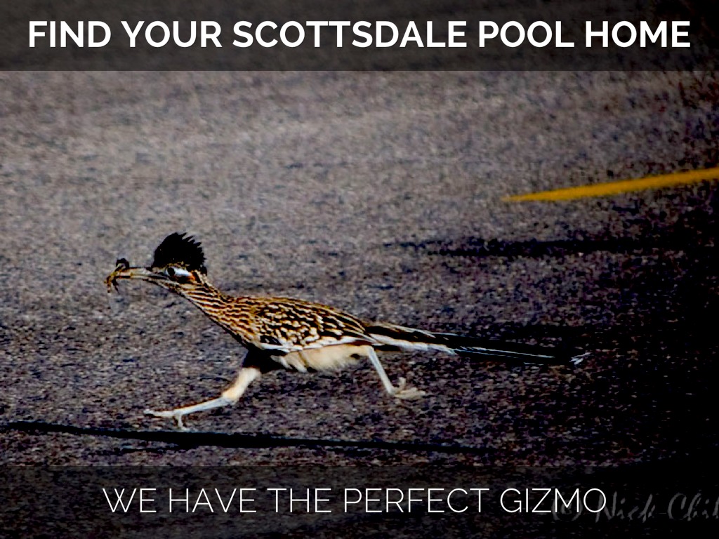 Scottsdale Pool Homes - Find Yours Before You Melt