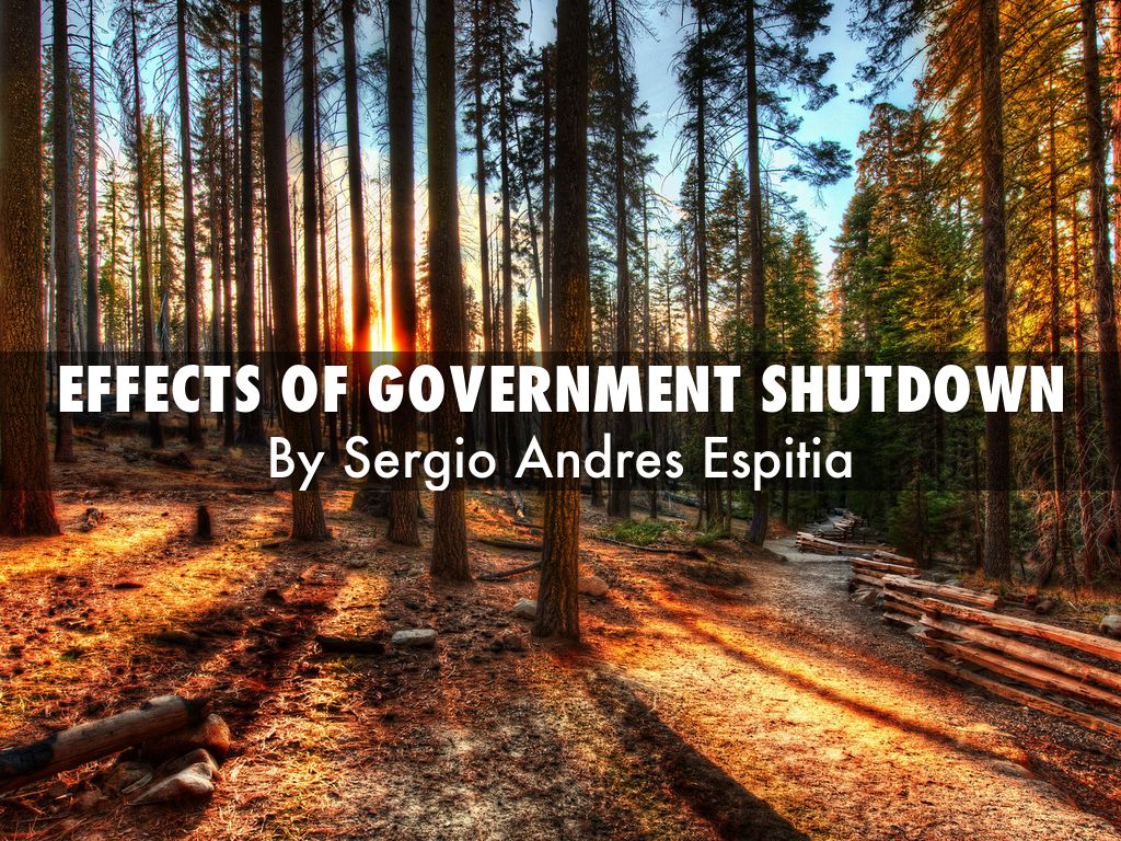 Effects of government Shutdown