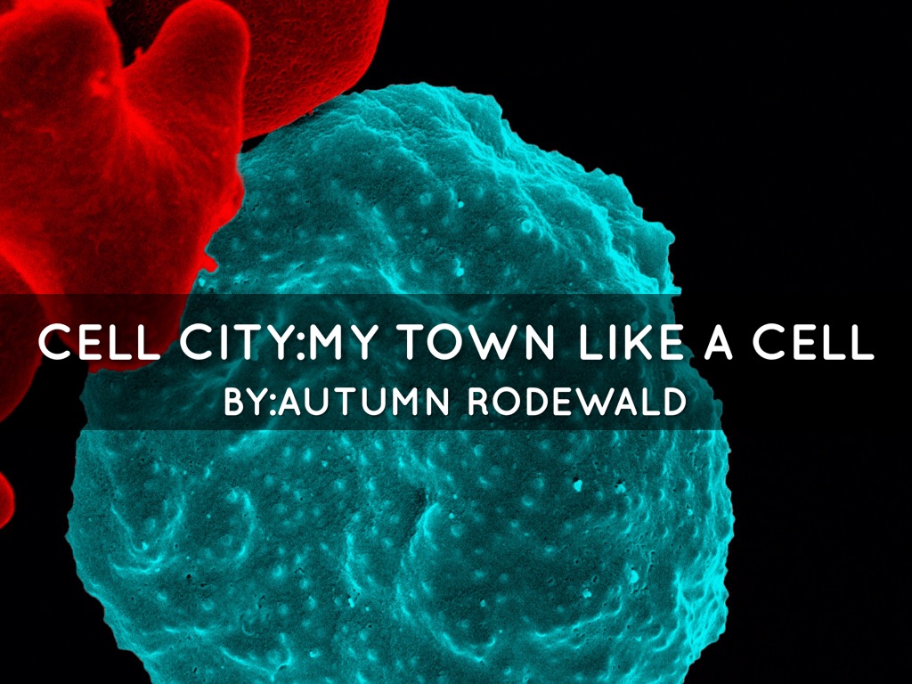 My Town Like A Cell