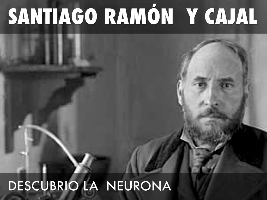 santiago ramon y cajal famous essay santiago ramon y cajal famous essay