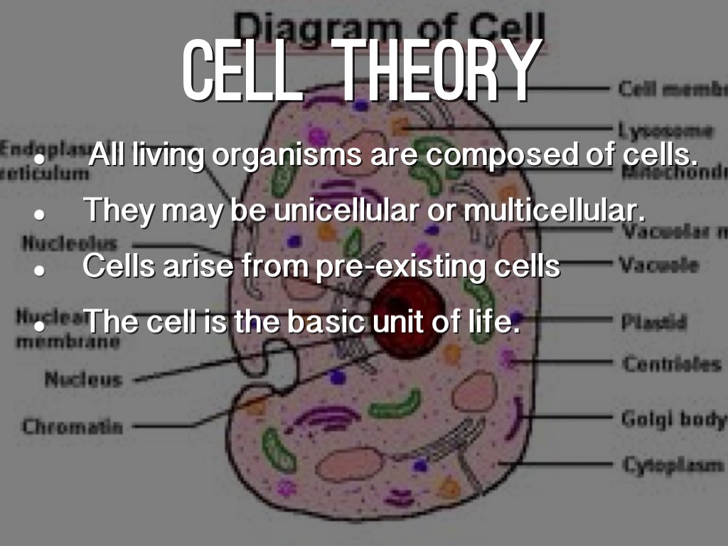 Cells