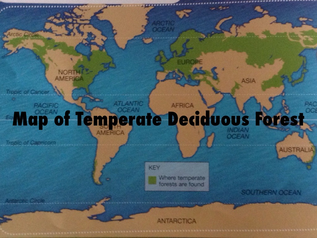 Temperate Deciduous Forest Map