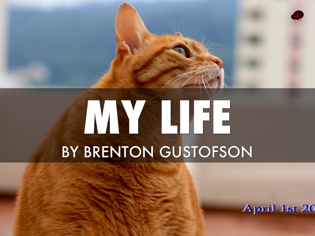 Brenton Gustofson