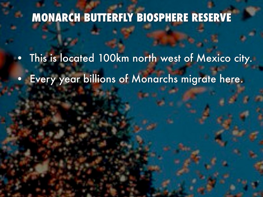 World Heritage Committee. 