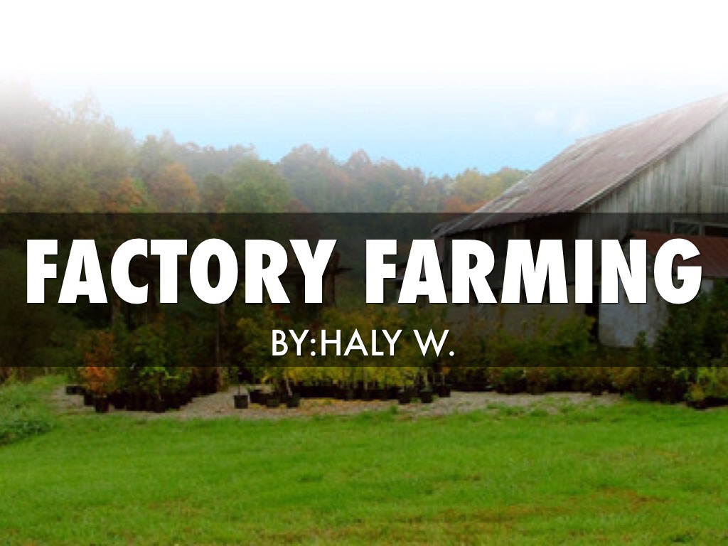 Factory Farming