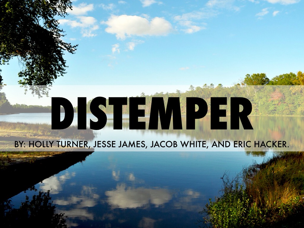 Distemper 