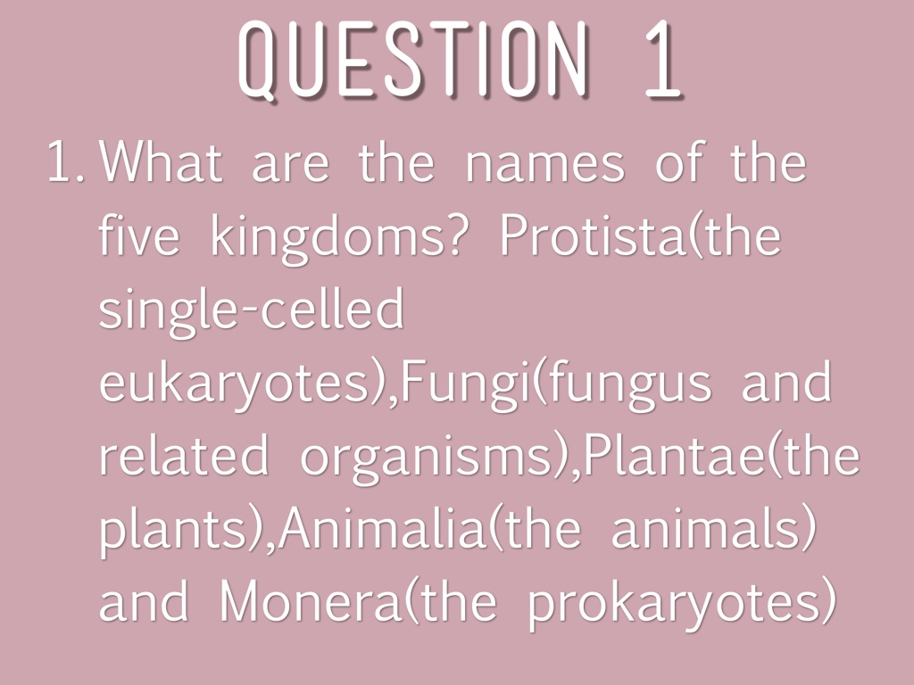 Plum Science Kingdoms by Plum Lane