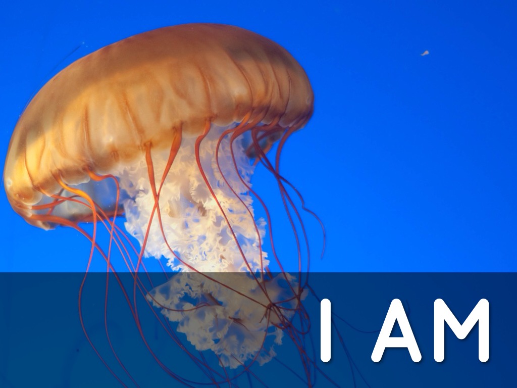 I Am