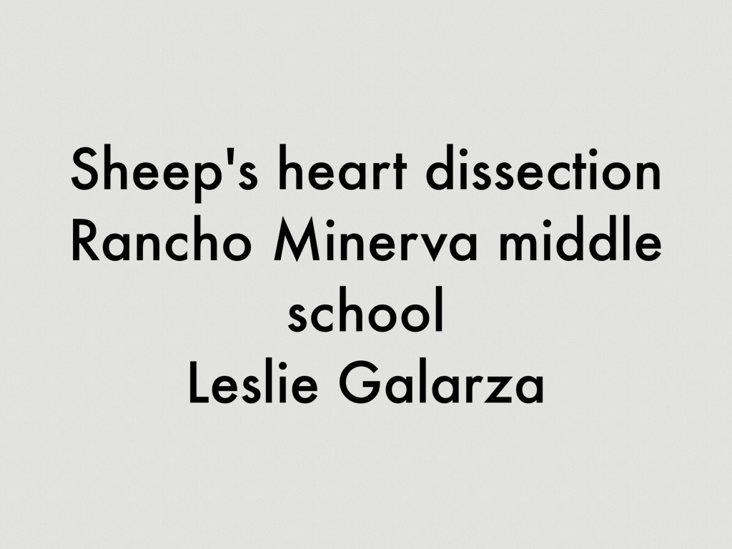 Sheep's Heart Dissection 
