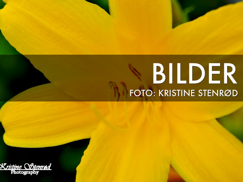 Bilder