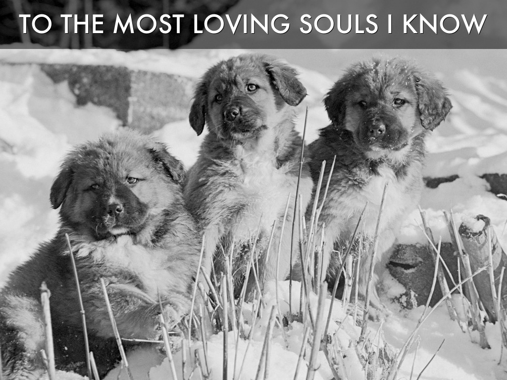 Copy of I Love All Y'all