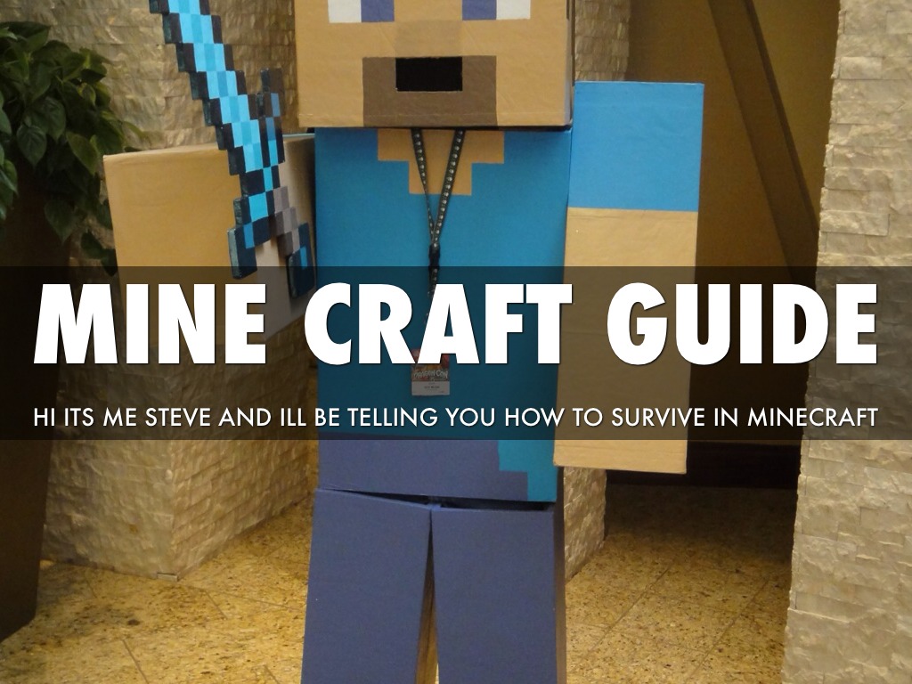 Mine Craft Guide