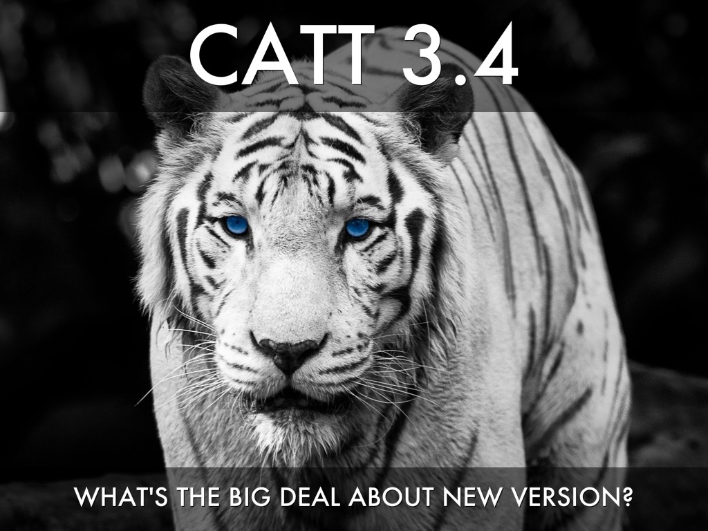 CATT 3.4