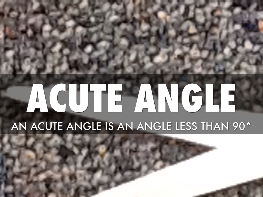 Copy of Geometry Genus By: Kian and Nick