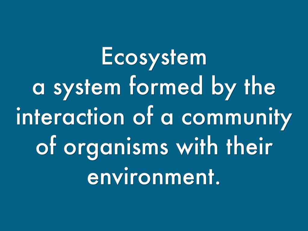 Science Definitions by John Yi