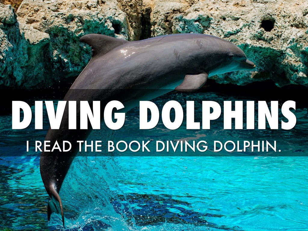 Diving Dolphin