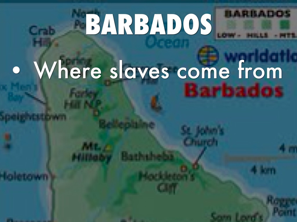 Flash Cards by montanacutter99