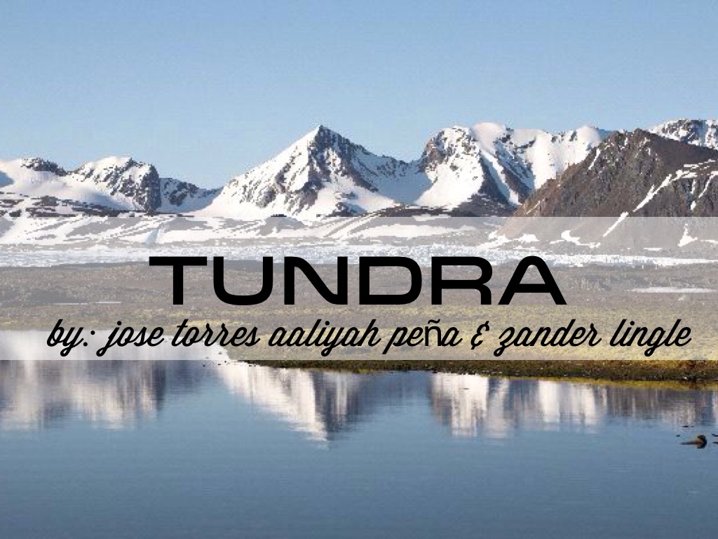 Biome Tundra Project 