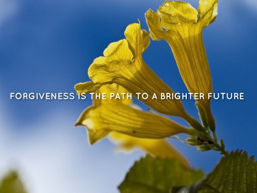 My Life Philosophy's 