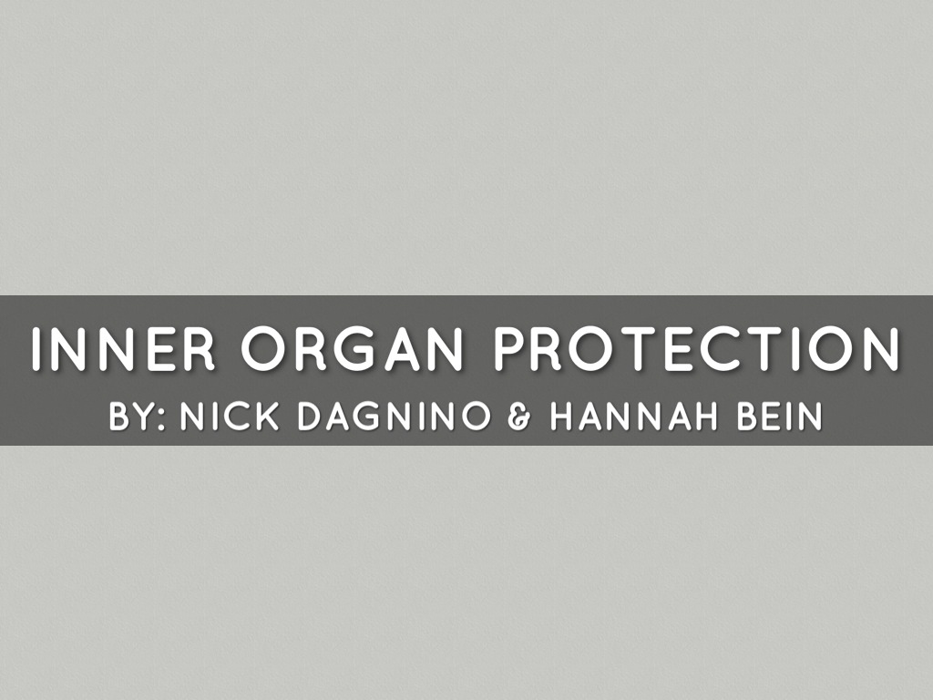 Inner Organ Protection by Nick Dagnino