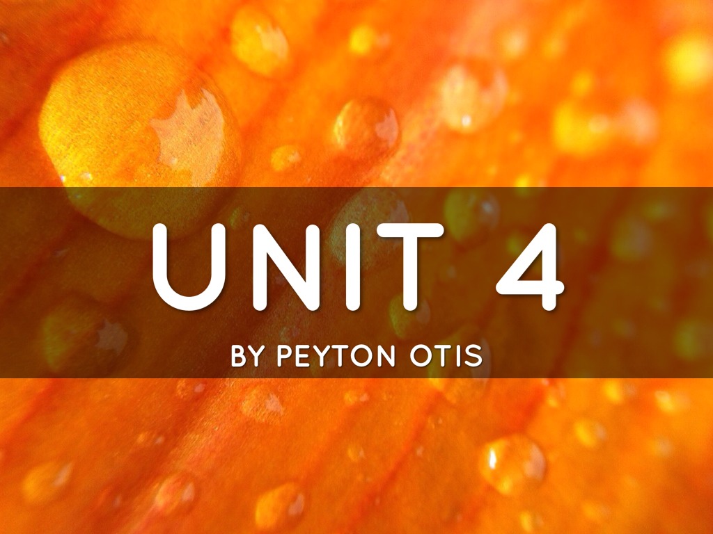 Unit 4 Vocab