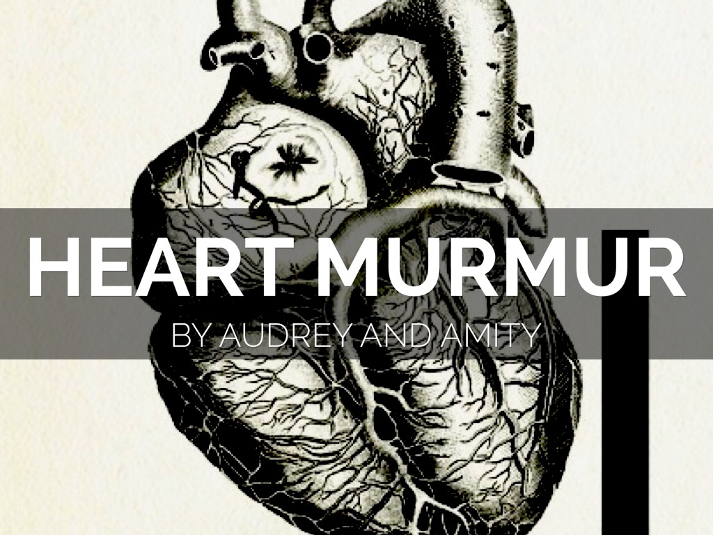 HEART MUMUR XXY