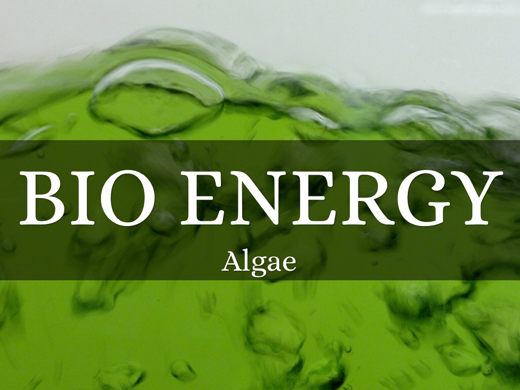 Bio Energy