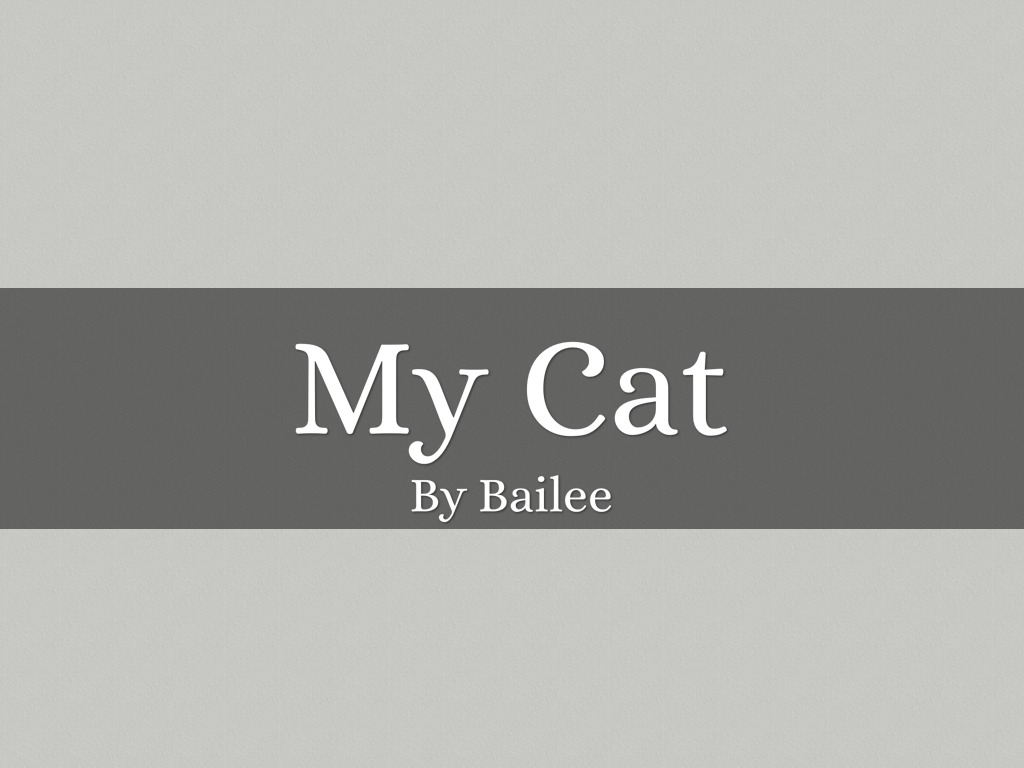 My Cat