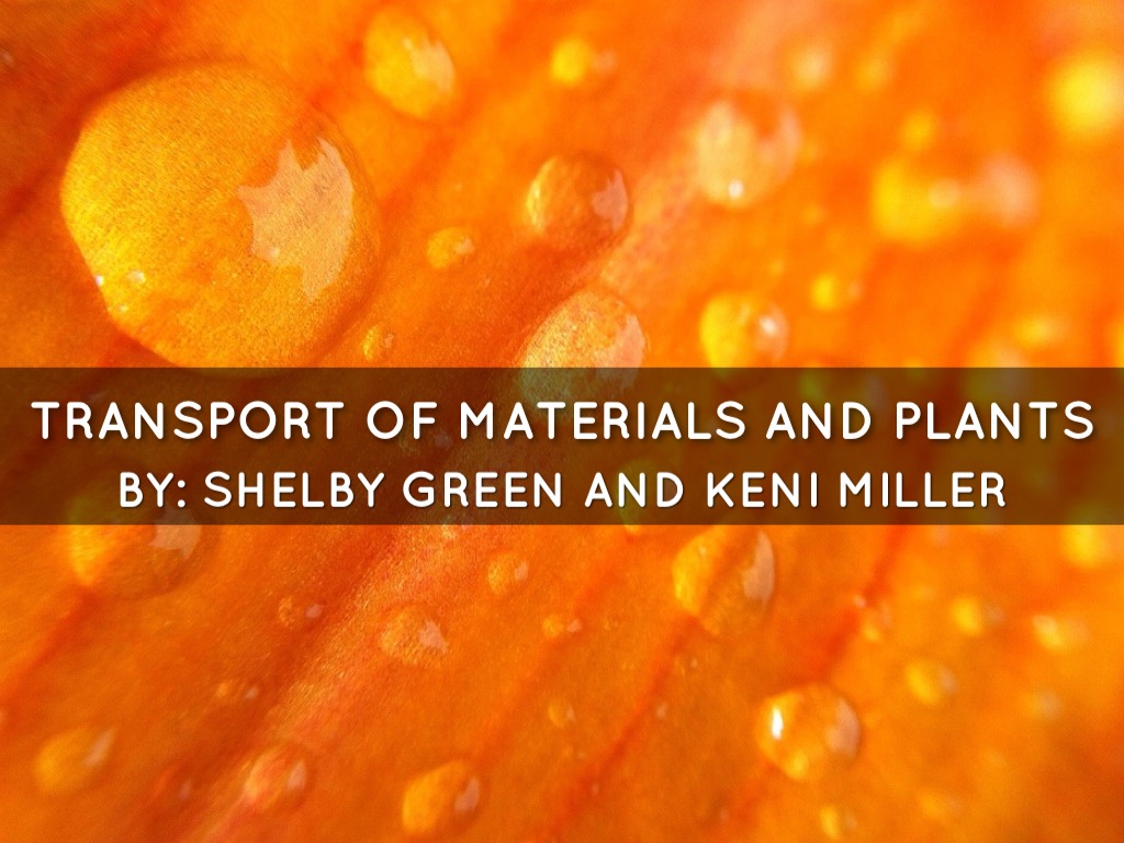 Transport Of Materials, Keni And Shelby P.7