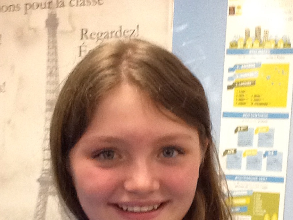 Classmates Likes And Dislikes 