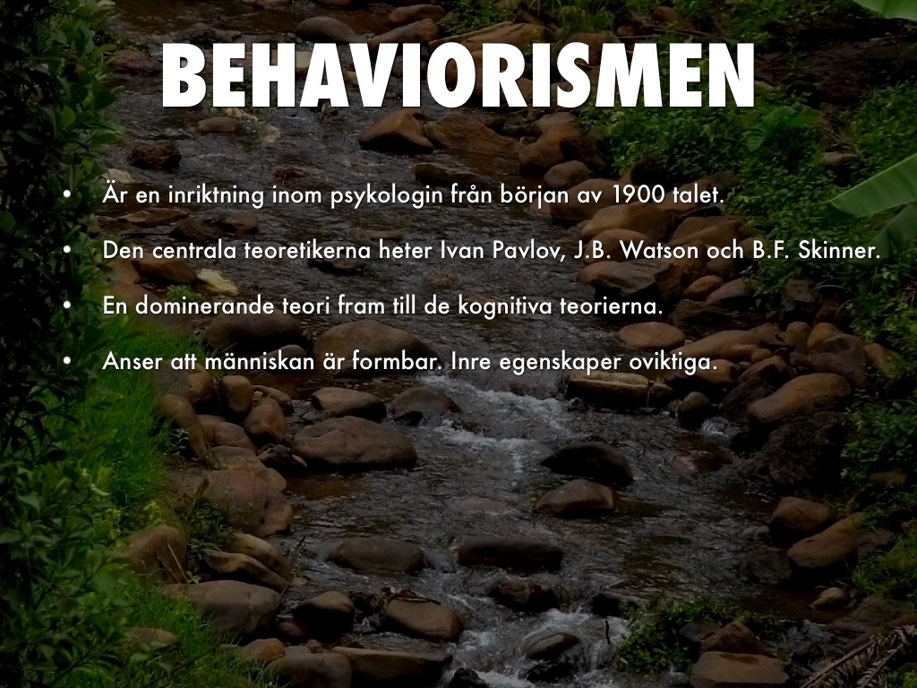 BEHAVIORISMEN