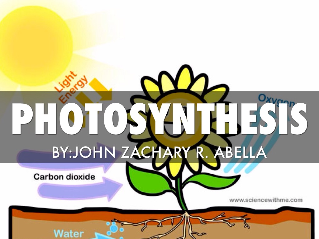Photosynthesis