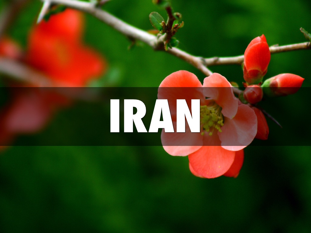 Iran: Persecution of the Baha'i Faith