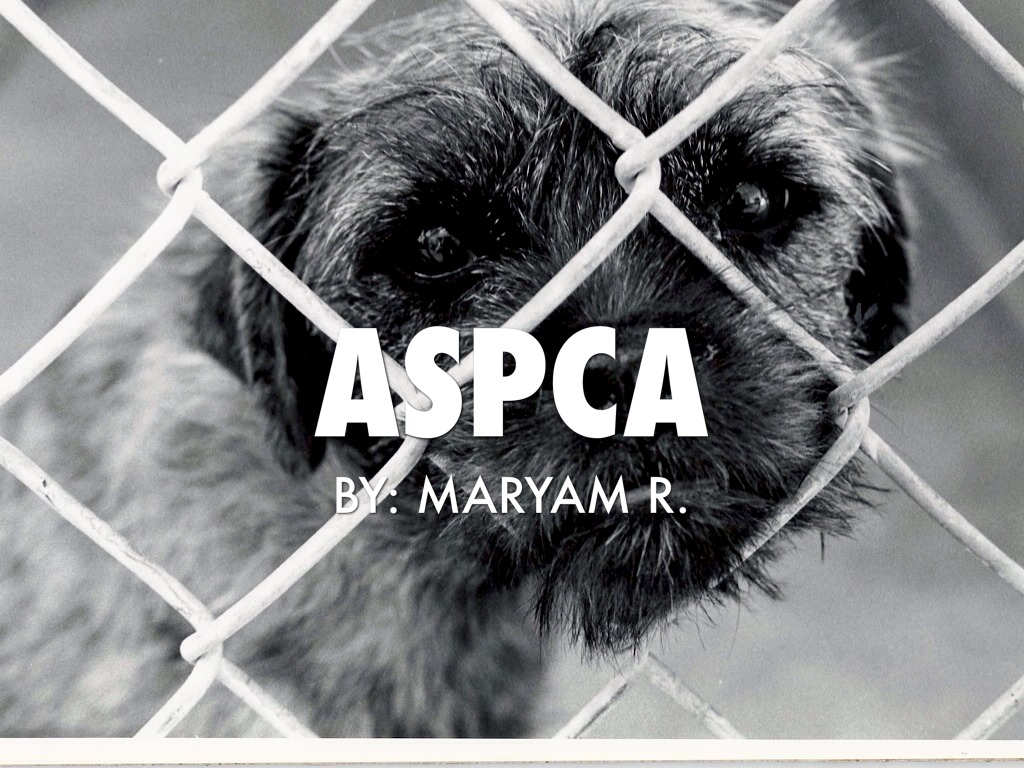 ASPCA