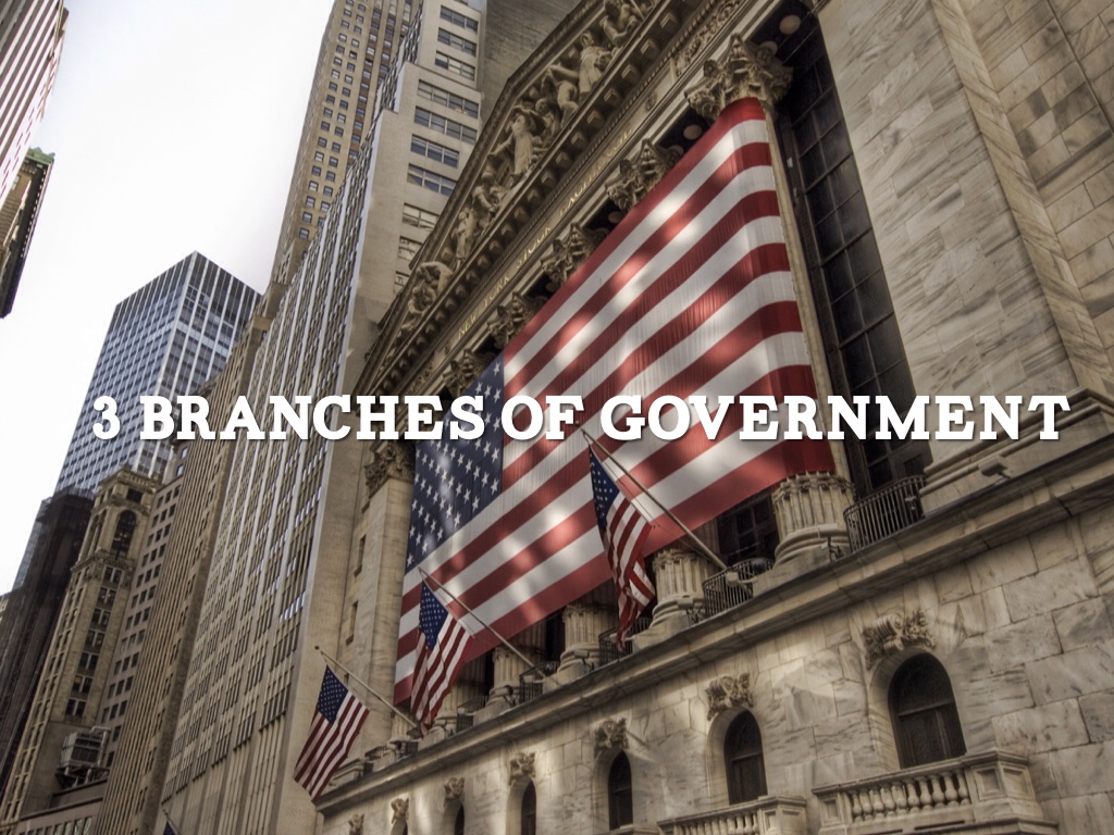 3 Branches of Government 