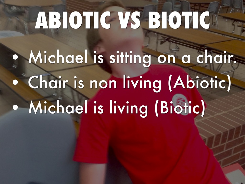 Science by David Gray