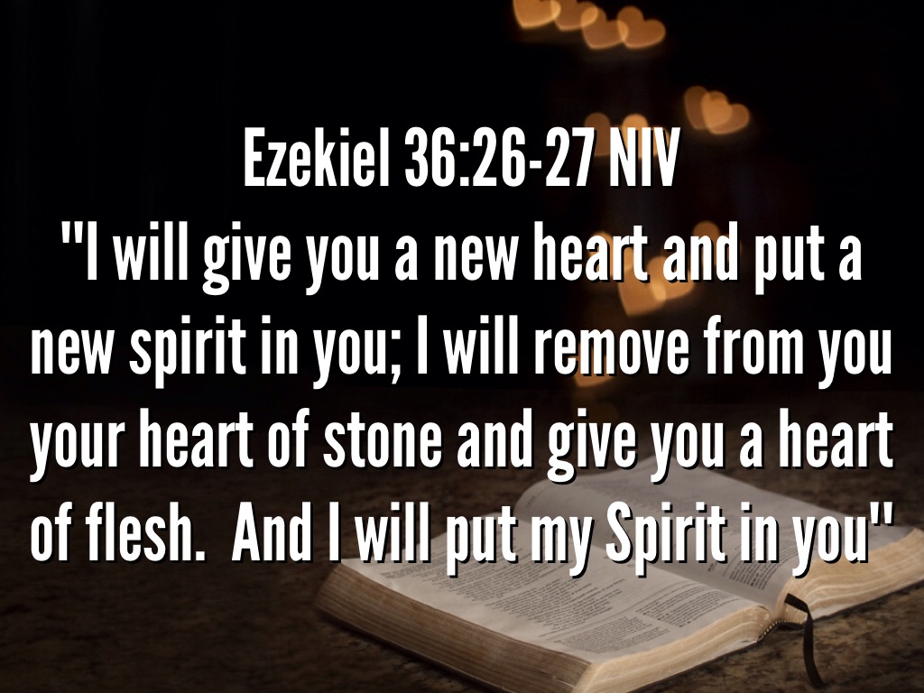 Ezekiel By Lyle Person