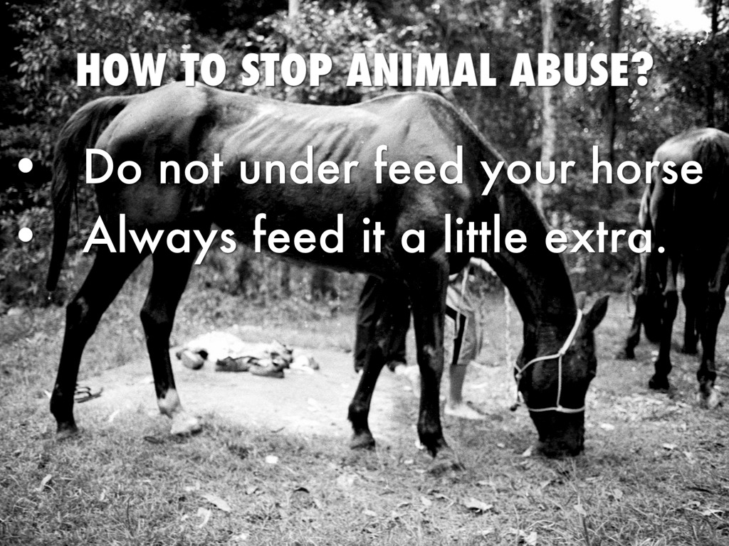 Horse Abuse by Vicki Richardson